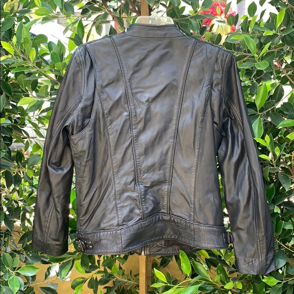 Leather Jacket - Picture 4 of 5